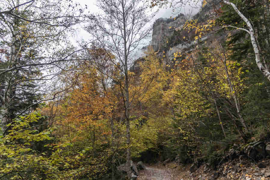 Huesca - parque nacional de Ordesa y Monte Perdido - valle de Ordesa 110 - faja Canarellos.jpg
